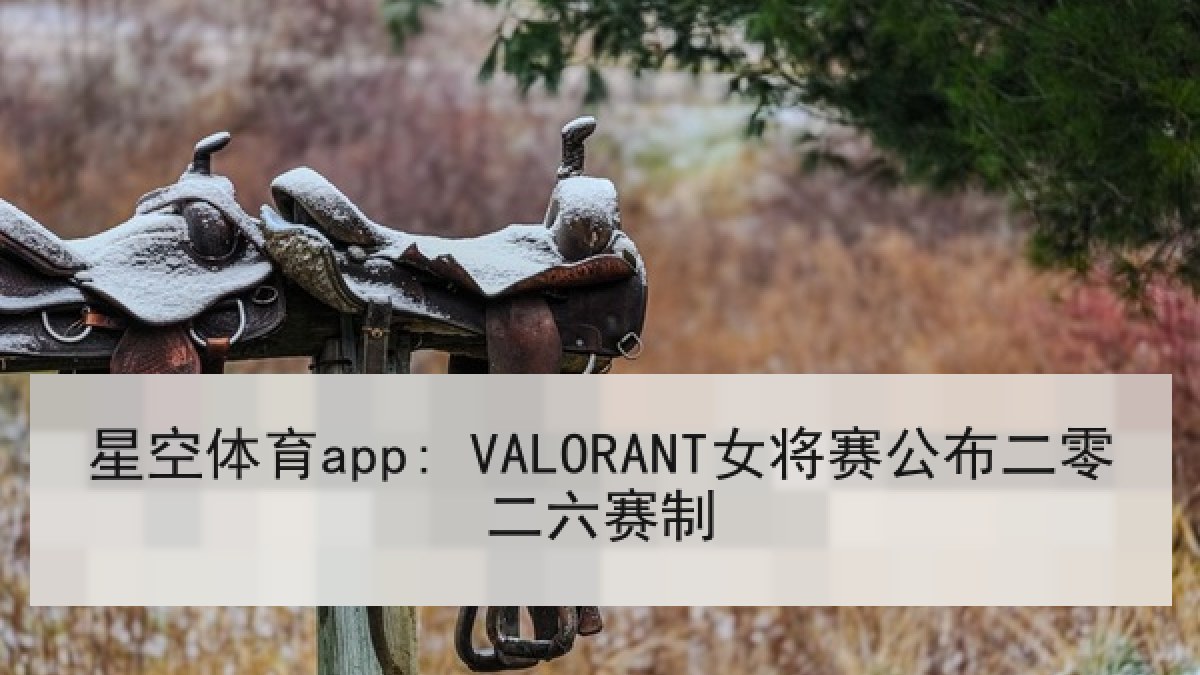 星空体育app: VALORANT女将赛公布二零二六赛制 星空体育app: VALORANT女将赛公布二零二六赛制